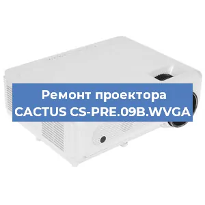 Замена проектора CACTUS CS-PRE.09B.WVGA в Нижнем Новгороде